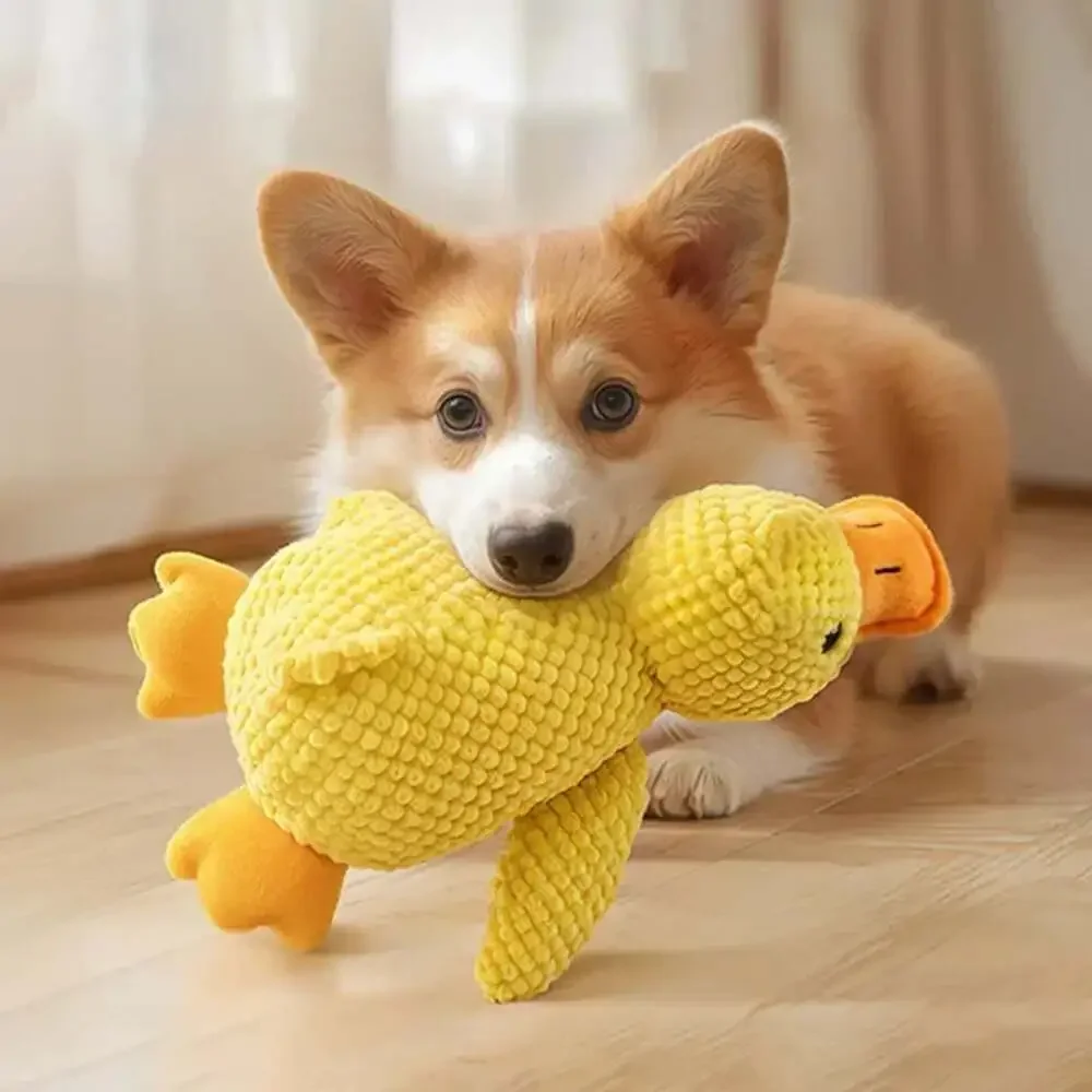 Interactive Plush Toy for Cats and Dogs, Aggressive Chewing, Squeak Doll,,Cats D